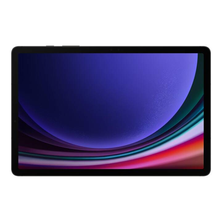 SAMSUNG Galaxy Tab S9 5G Enterprise Edition (11", 128 GB, Grafite)