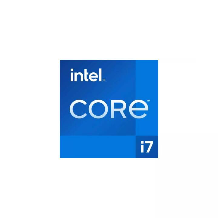 JOULE PERFORMANCE L1127370 (Intel Core i7 14700F, 32 GB, 2000 GB SSD, NVIDIA GeForce RTX 4070)
