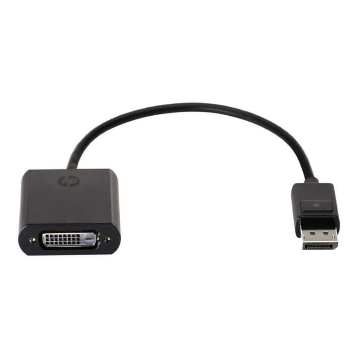 HP Adaptateur ( DVI-D, DisplayPort, 0.19 m)