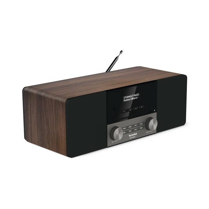 TECHNISAT 3 Digitalradio (Braun, Schwarz)