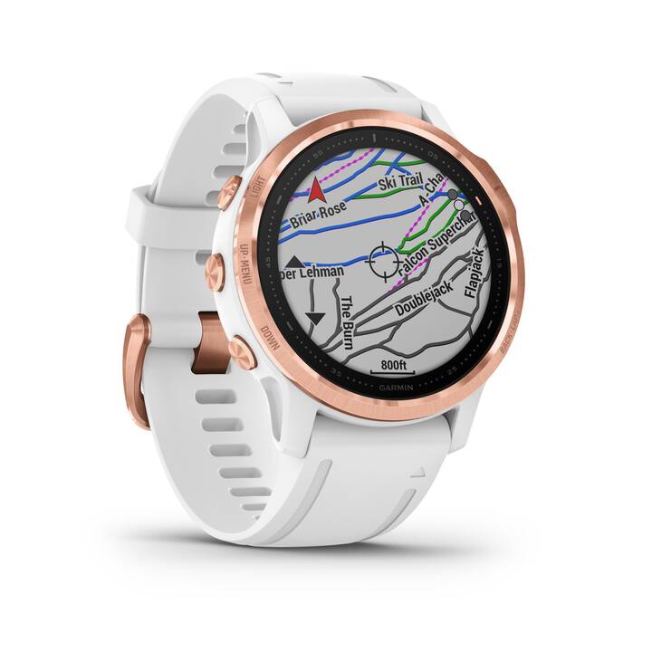 GARMIN fēnix 6S Pro (S/M, Metall, Titan, Kunststoff, Silikon, GPS, GLONASS,  Galileo) - Interdiscount