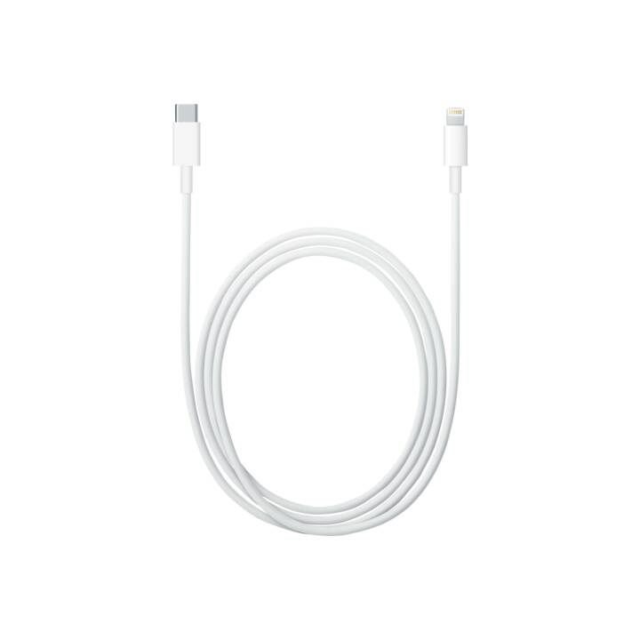 APPLE Câble de connexion (Lightning, USB 2.0 de type C, 2 m)