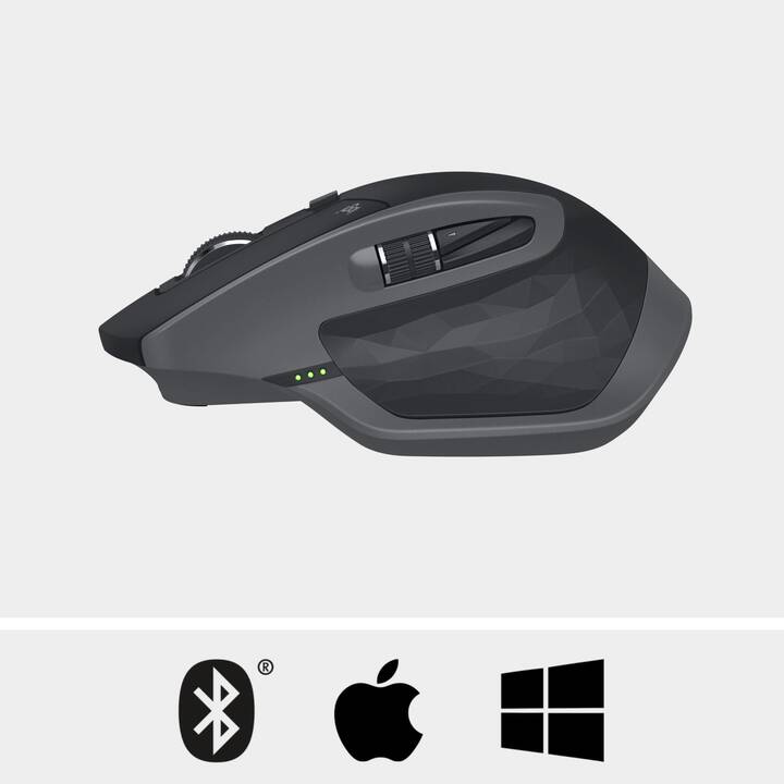 LOGITECH MX Master 2S Mouse (Senza fili, Office)