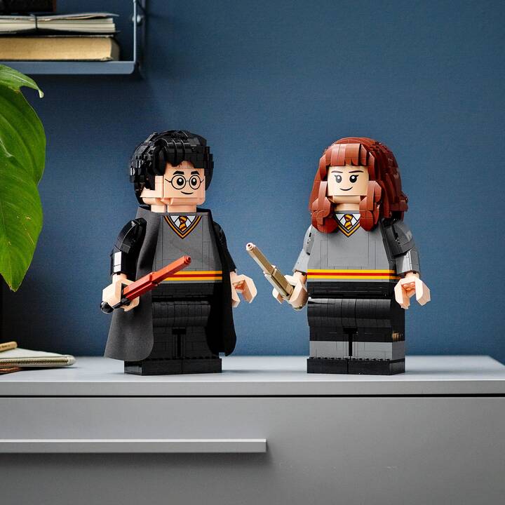 LEGO Harry Potter und Hermine Granger (76393, seltenes Set)