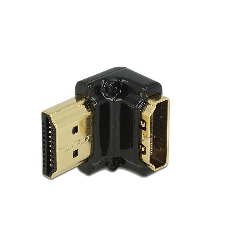 DELOCK Adaptateur vidéo (HDMI Type A)