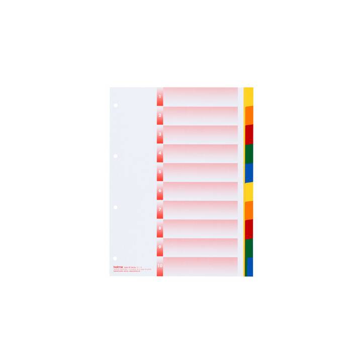 KOLMA Répertoire (10 x A4, Coloré)