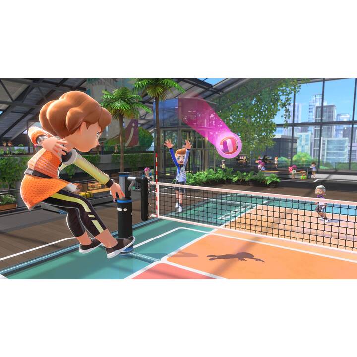Switch Sports (FR)