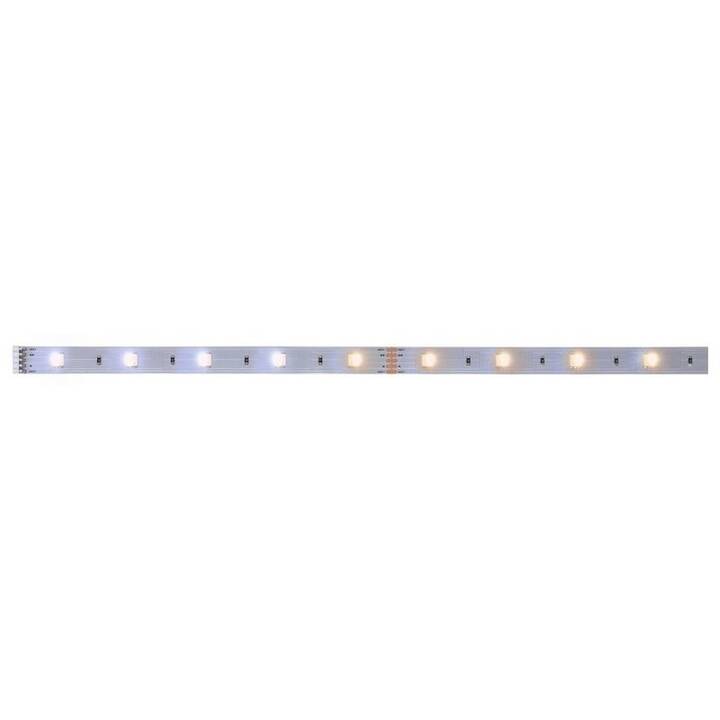 PAULMANN MaxLED LED Light-Strip (1 m)