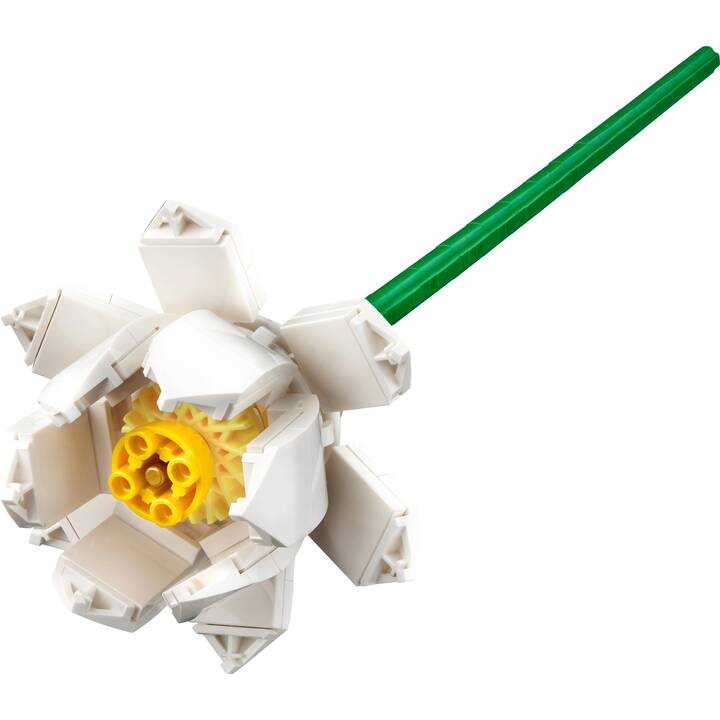 LEGO Icons Les fleurs de lotus (40647)