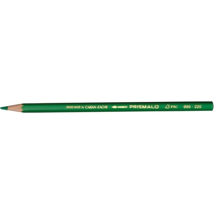 CARAN D'ACHE Crayons de couleur Prismalo (L'herbe verte, 1 pièce)
