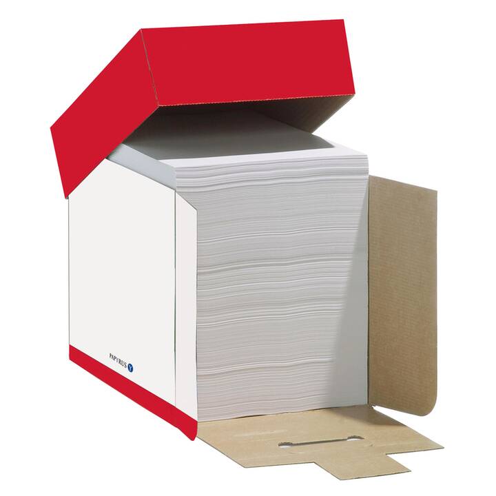 PAPYRUS Maxbox Plano Superior Carta per copia (2500 foglio, A4, 80 g/m2)