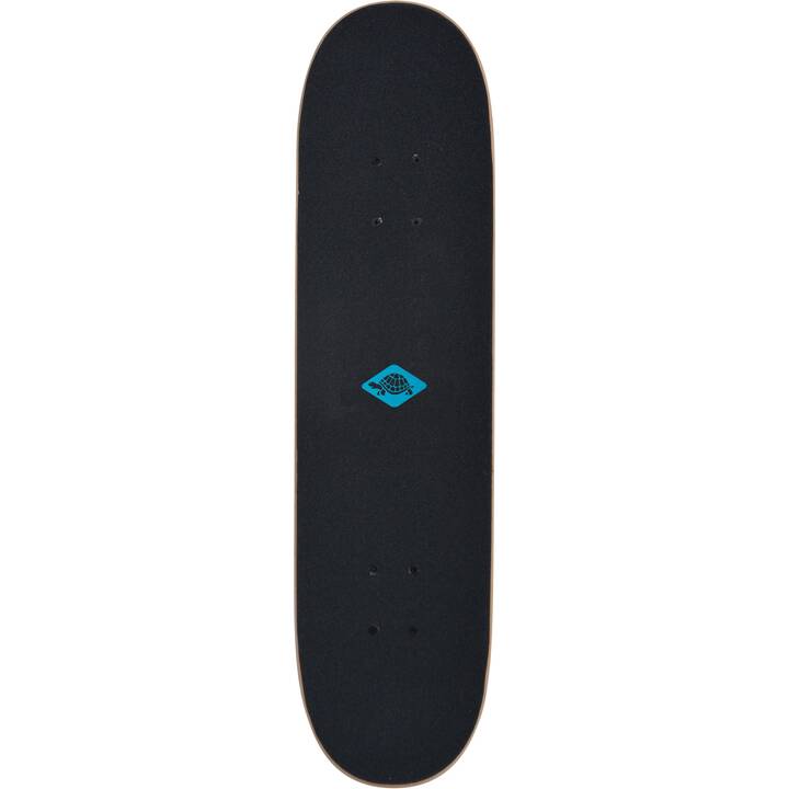 SCHILDKRÖT Skateboard Slider 31 (78.7 cm)