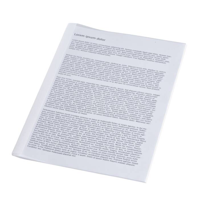 FELLOWES Dossier de candidature (Blanc, A4, 100 pièce)
