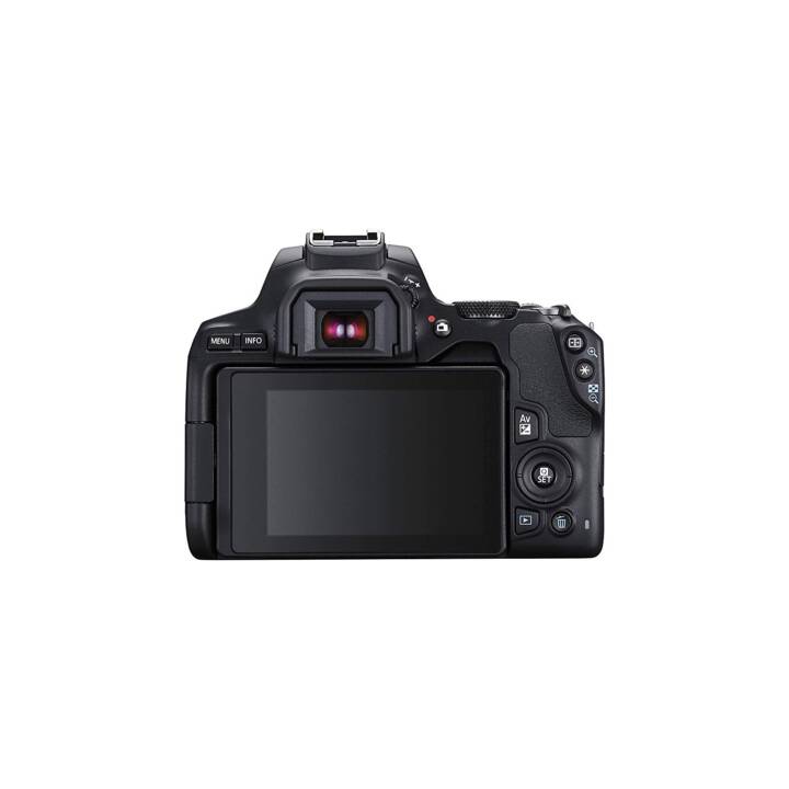 CANON EOS 250D Body (24.1 MP)