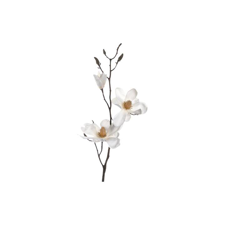 LEONARDO Magnolie Vernazza Fleur artificielle (Blanc)