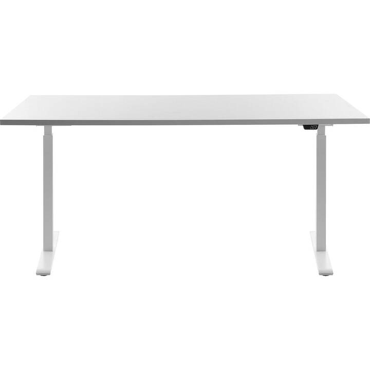 TOPSTAR Scrivania (Bianco, 160 cm x 80 cm)