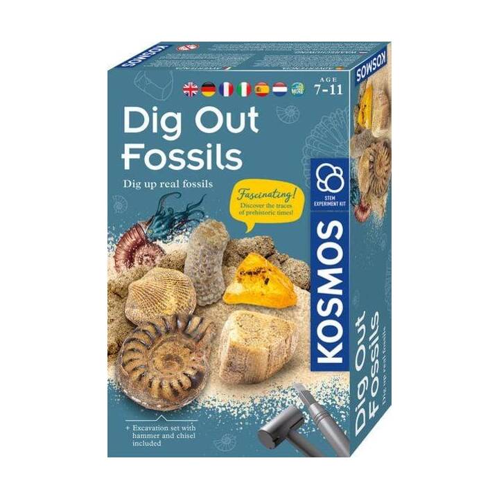 KOSMOS Dig Out Fossils Coffret d'expérimentation (Archéologie)