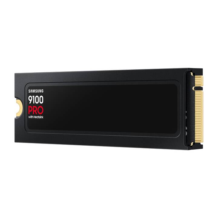 SAMSUNG 9100 PRO (PCI Express, 8000 GB, Schwarz) - Interdiscount
