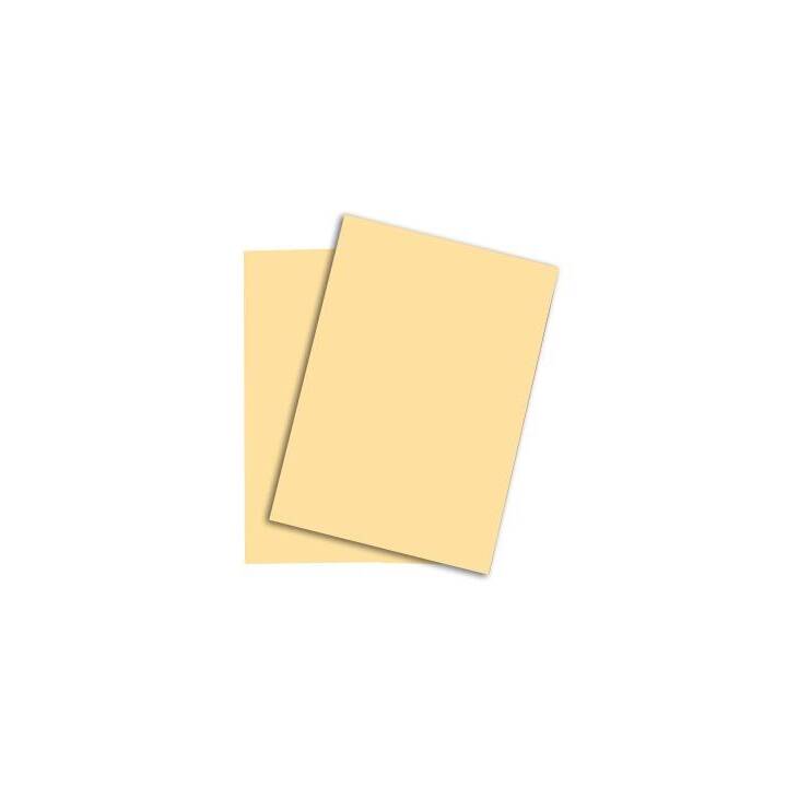 PAPYRUS Farbiges Papier (250 Blatt, A3, 120 g/m2)
