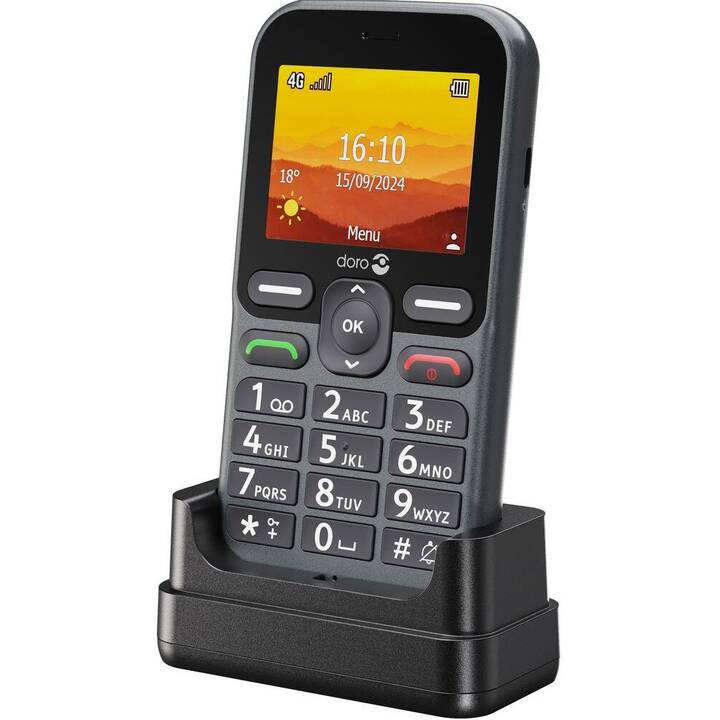 DORO Leva L10 (17 MB, Noir, 2.4", 2 MP)