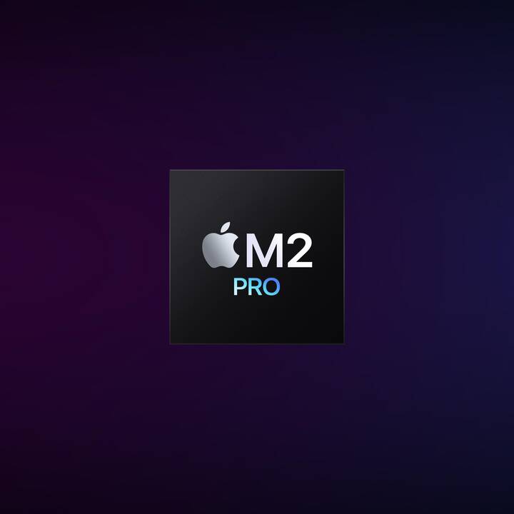 APPLE Mac Mini (Apple M2 Pro Chip, 32 GB, 4000 Go SSD, Apple M2)