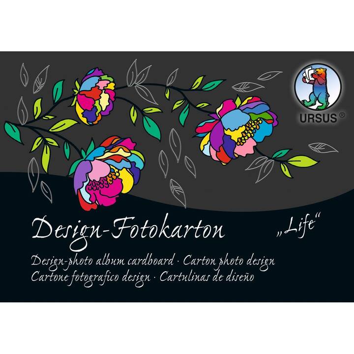 URSUS Carton Life (Multicolore, A6, 60 feuille)