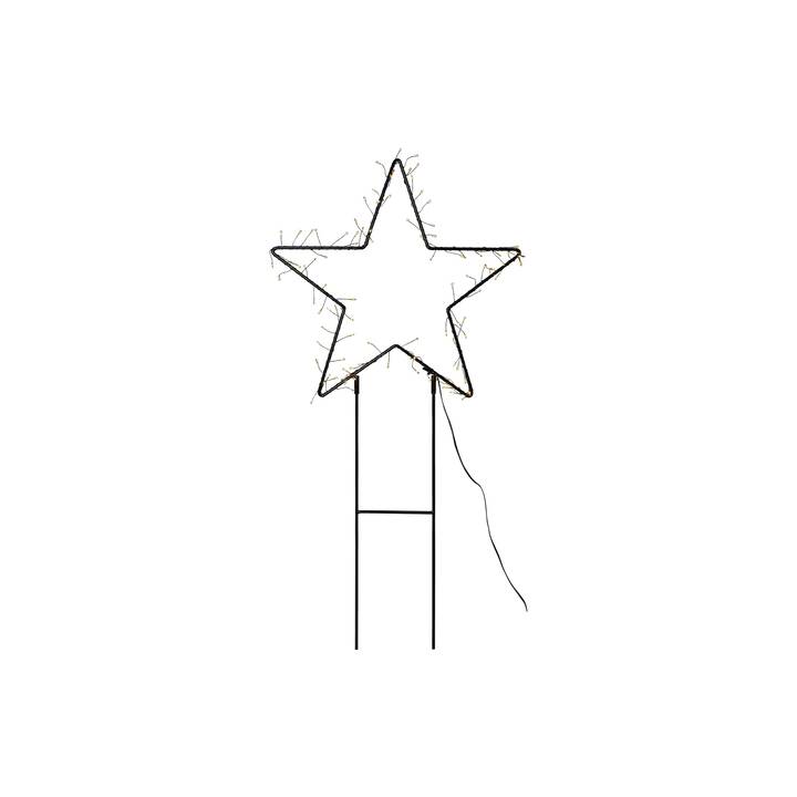 STAR TRADING Leuchtfigur Weihnachten Barlumi (Stern, 100 LEDs)