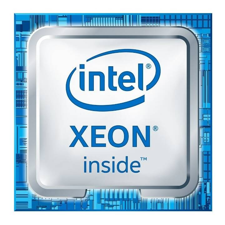 DELL PowerEdge T150 M83C9 (Intel Xeon E, 8 GB, 2.8 GHz)