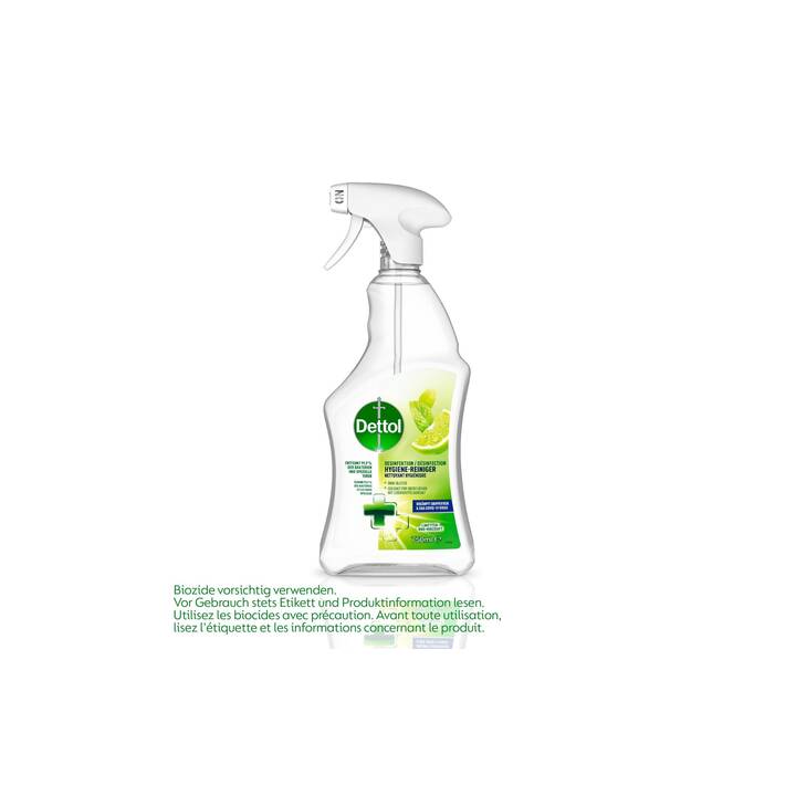 DETTOL Désinfectantpour surfaces (750 ml)