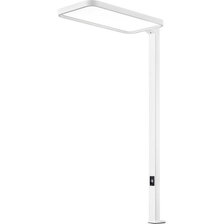 HANSA Lampadaire Saphir (195 cm)