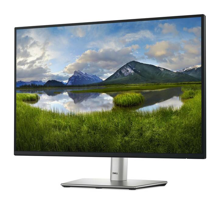 DELL P2425 (24.07", 1920 x 1200)