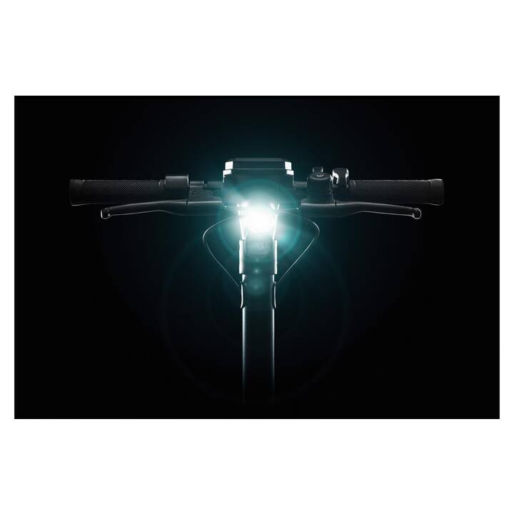 SOFLOW SO4 Pro (20 km/h, 500 W)