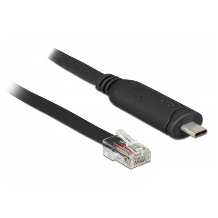 DELOCK Verbindungskabel (USB 2.0 Typ-C, RJ-45, 2 m)