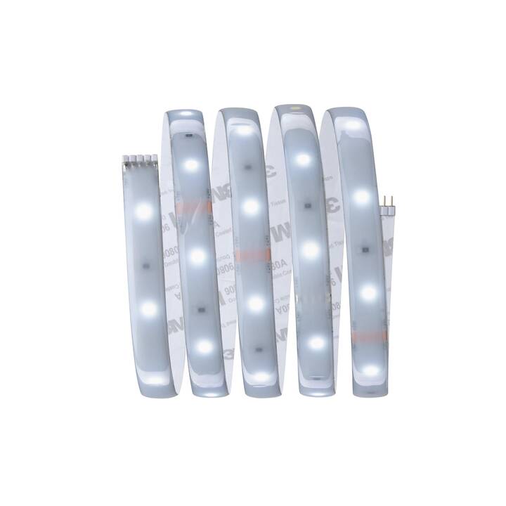 Bande LED RGBW Paulmann MaxLED 250 - 1 M, IP44, 7W, Blanc Chaud 3000K - Avec Gaine De Protection - Pour Ambiance Et Éclairage