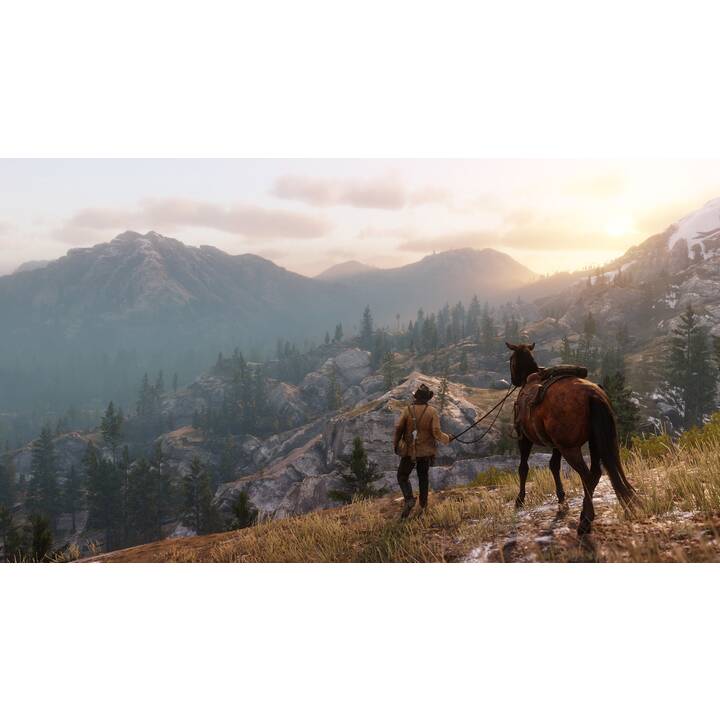 Red Dead Redemption 2 (DE)