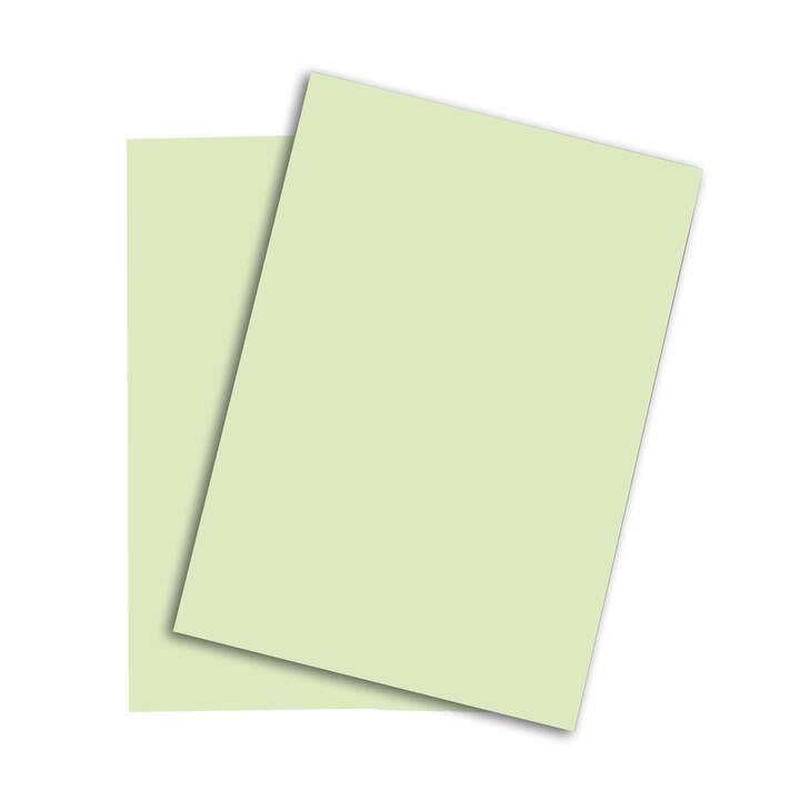 PAPYRUS Papier couleur (500 feuille, A4, 80 g/m2)