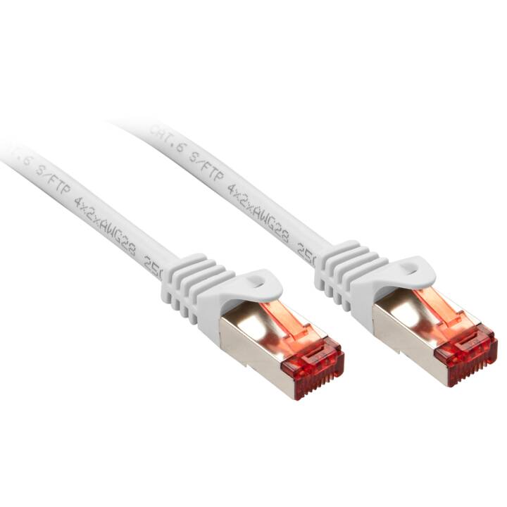 LINDY Câble patch Basic 1,5m, blanc