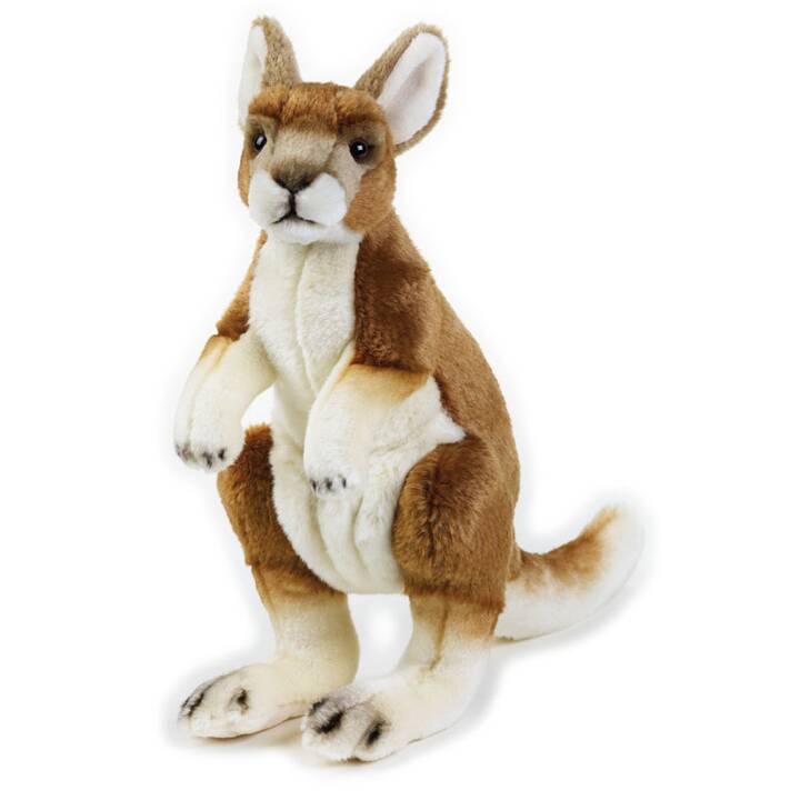 NATIONAL GEOGRAPHIC Kangarooh (30 cm, Brun, Blanc)