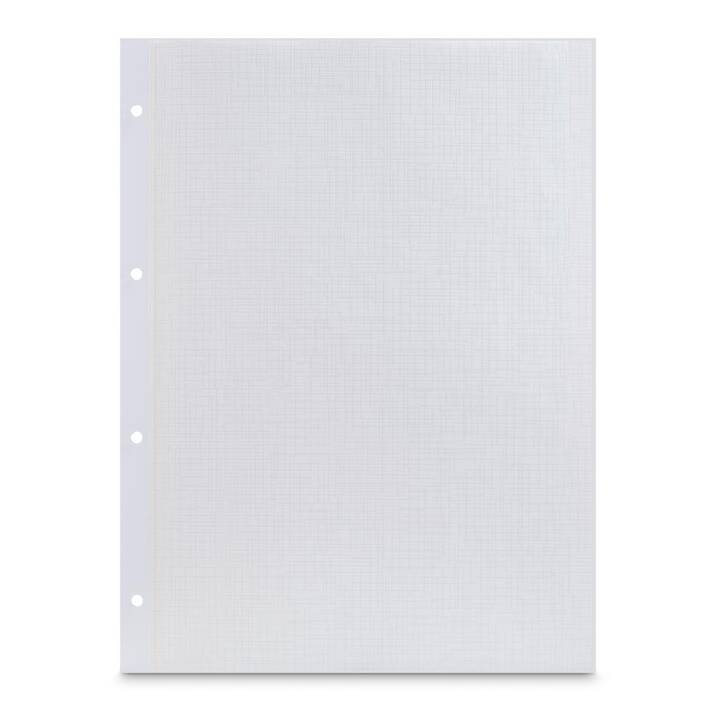 HAMA Carton (Blanc, 25 feuille)