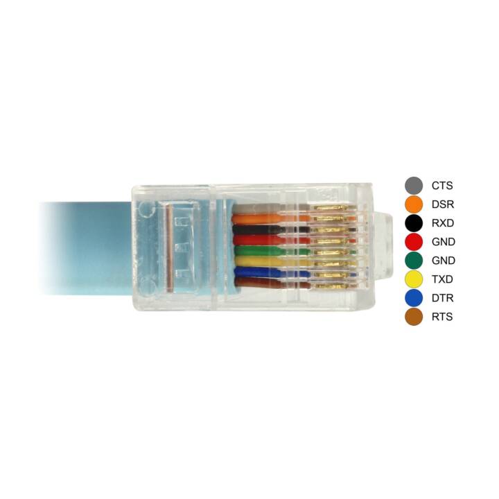 DELOCK Verbindungskabel (USB 2.0 Typ-A, RJ-45, 3 m)