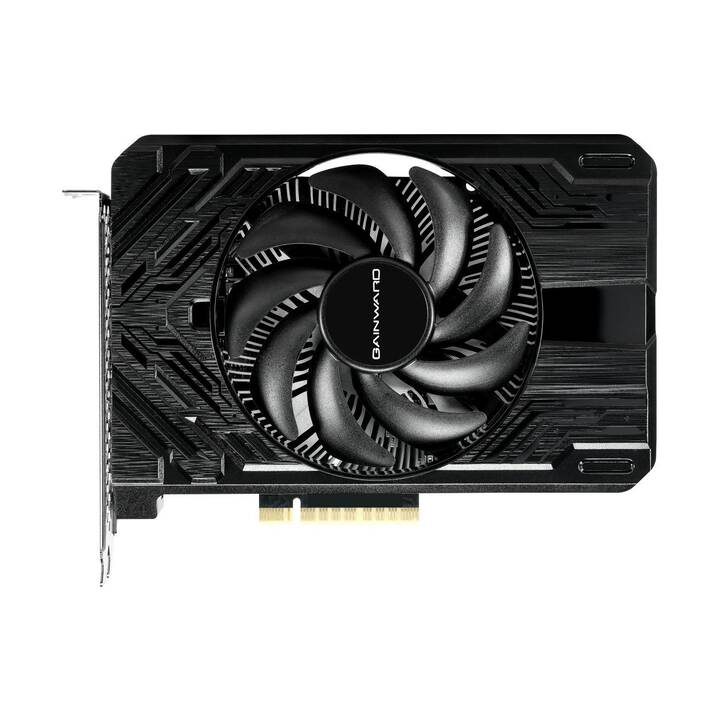 GAINWARD Pegasus Nvidia GeForce RTX 4060 (8 Go)