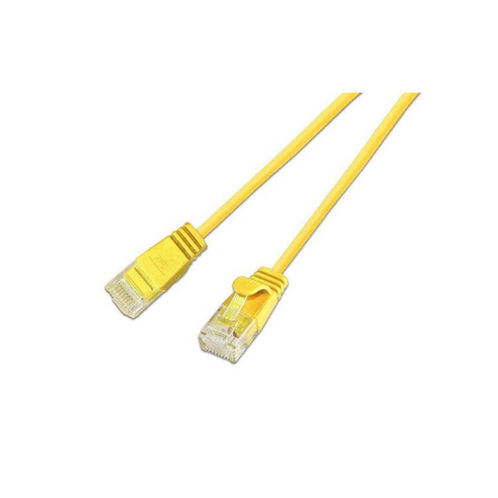 WIREWIN Slim Light Câble réseau (RJ-45, RJ-45, 1.5 m)