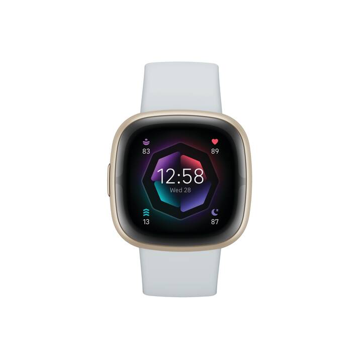 FITBIT Sense 2 (40.48 mm, Métal)