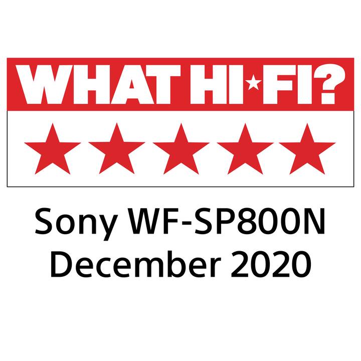 SONY WF-SP800N (In-Ear, Bluetooth 5.0, Noir)