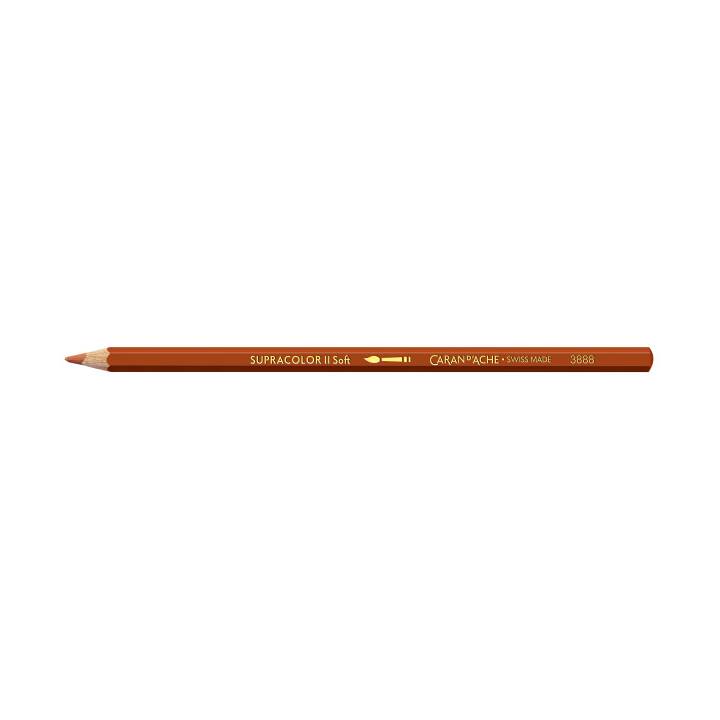 CARAN D'ACHE Crayons de couleur (Brun, 1 pièce)