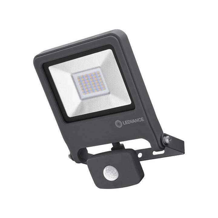 LEDVANCE Projecteur extérieur Endura Flood Sensor (30 W, Gris)