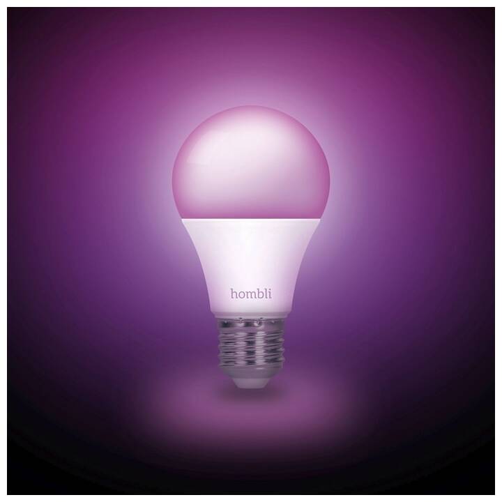 HOMBLI LED Birne Smart (E27, WLAN, 9 W)