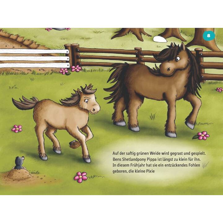 Frechverlag Bastelbuch Meine kunterbunte Pferde-Welt