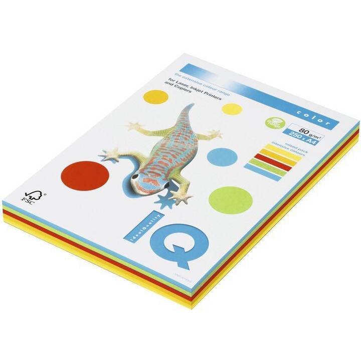 ANTALIS IQ Color Papier couleur (250 feuille, A4, 80 g/m2)