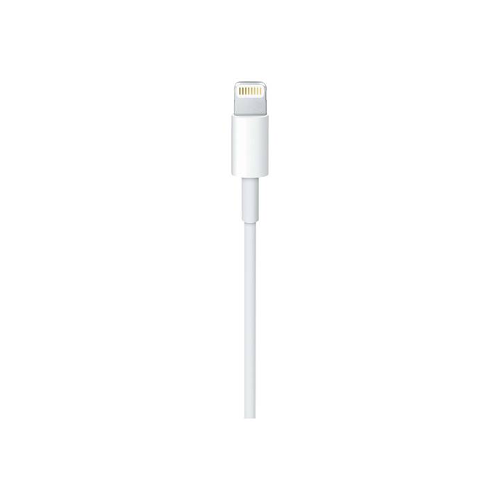APPLE USB‑C - Lightning Câble (USB de type C, Lightning, 1 m)